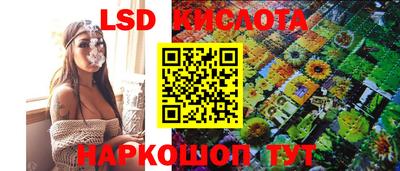 соль ск Новодвинск