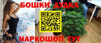 дмт Новозыбков