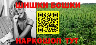 дмт Новокубанск