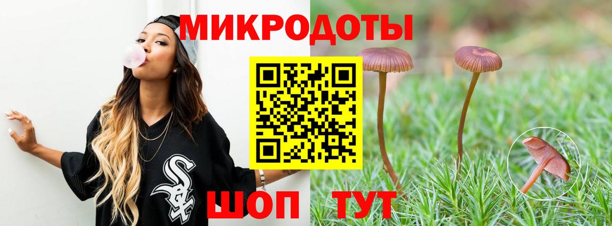 Галлюциногенные грибы Psilocybe  Вход с VPN  Галлюциногенные грибы ЛСД  Ставрополь 