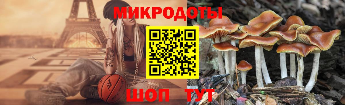 Псилоцибиновые грибы Cubensis Ставрополь
